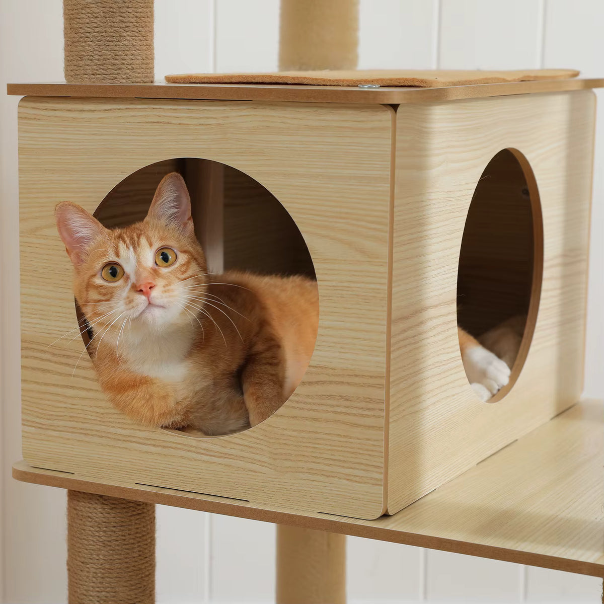 Arbre à chat en bois moderne | View