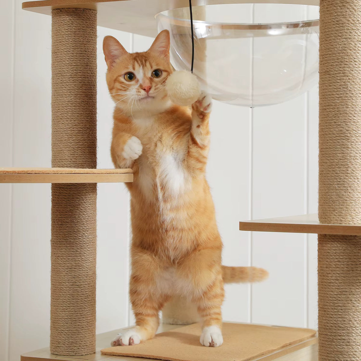 Arbre à chat en bois moderne | View