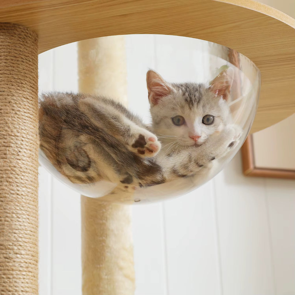 Arbre à chat en bois moderne | View