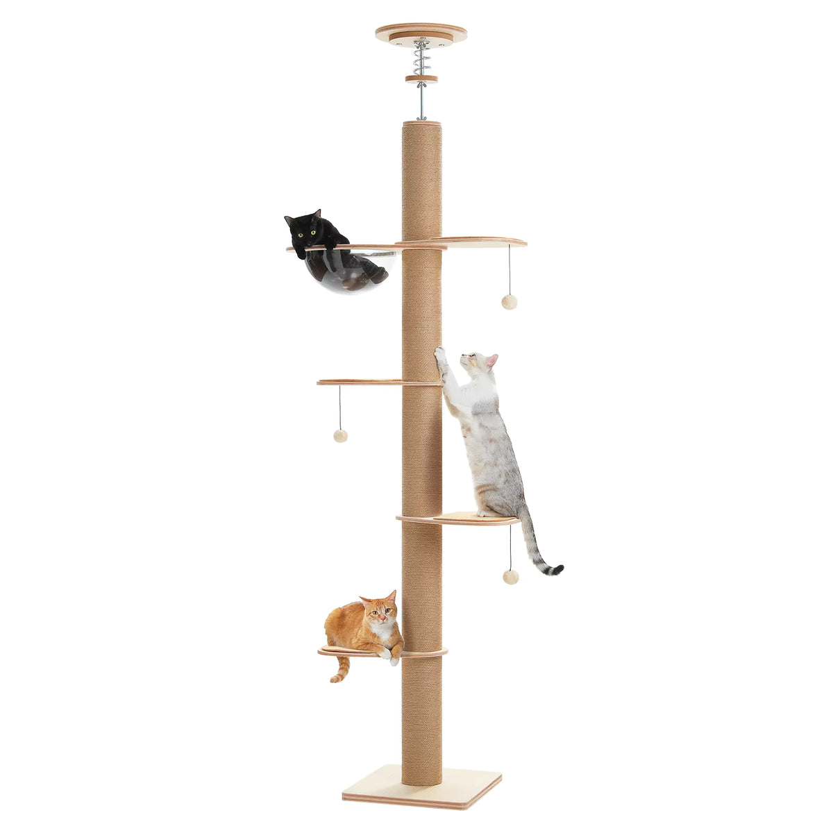 Arbre à chat plafond XXL | Vertical