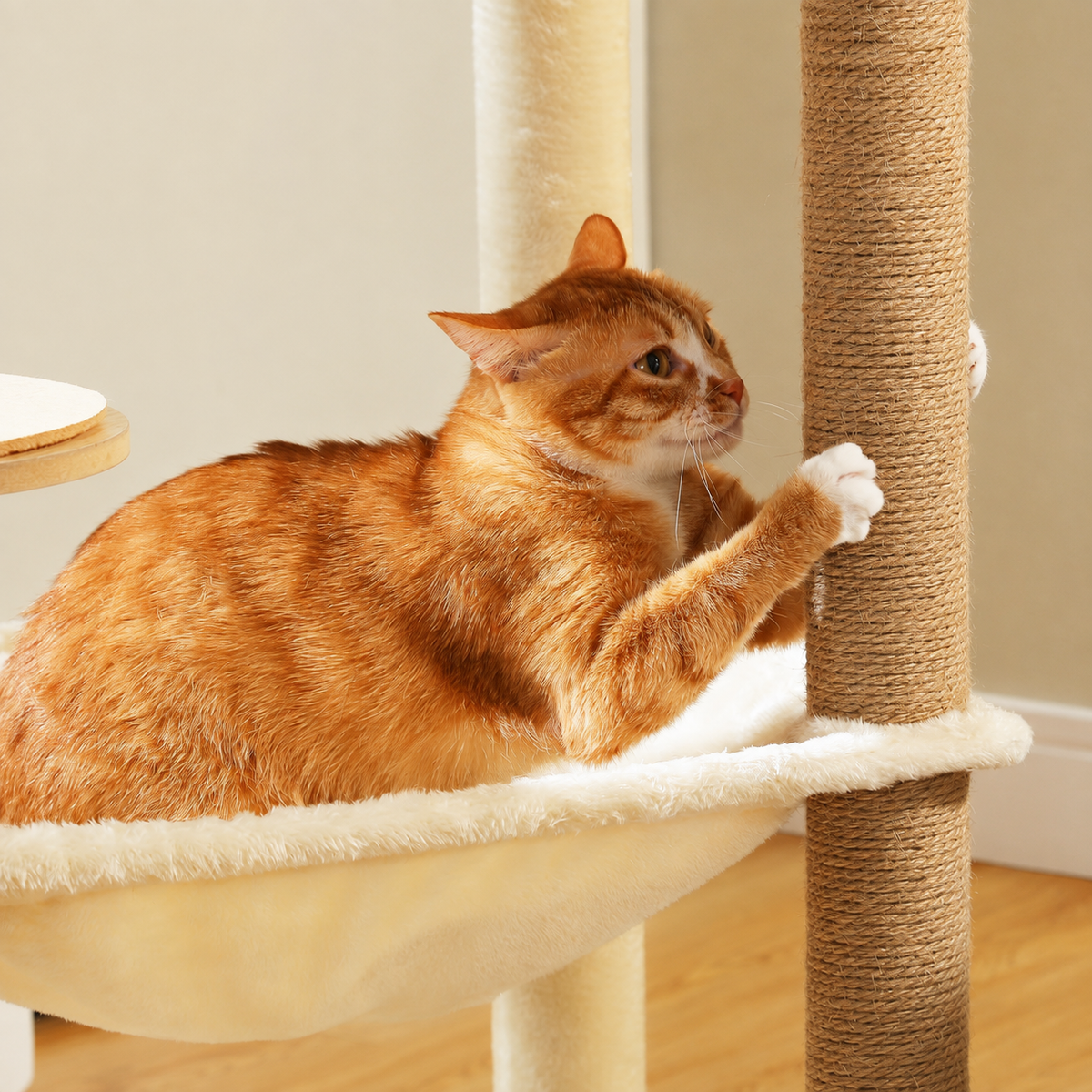 Arbre à chat en bois naturel | Nature