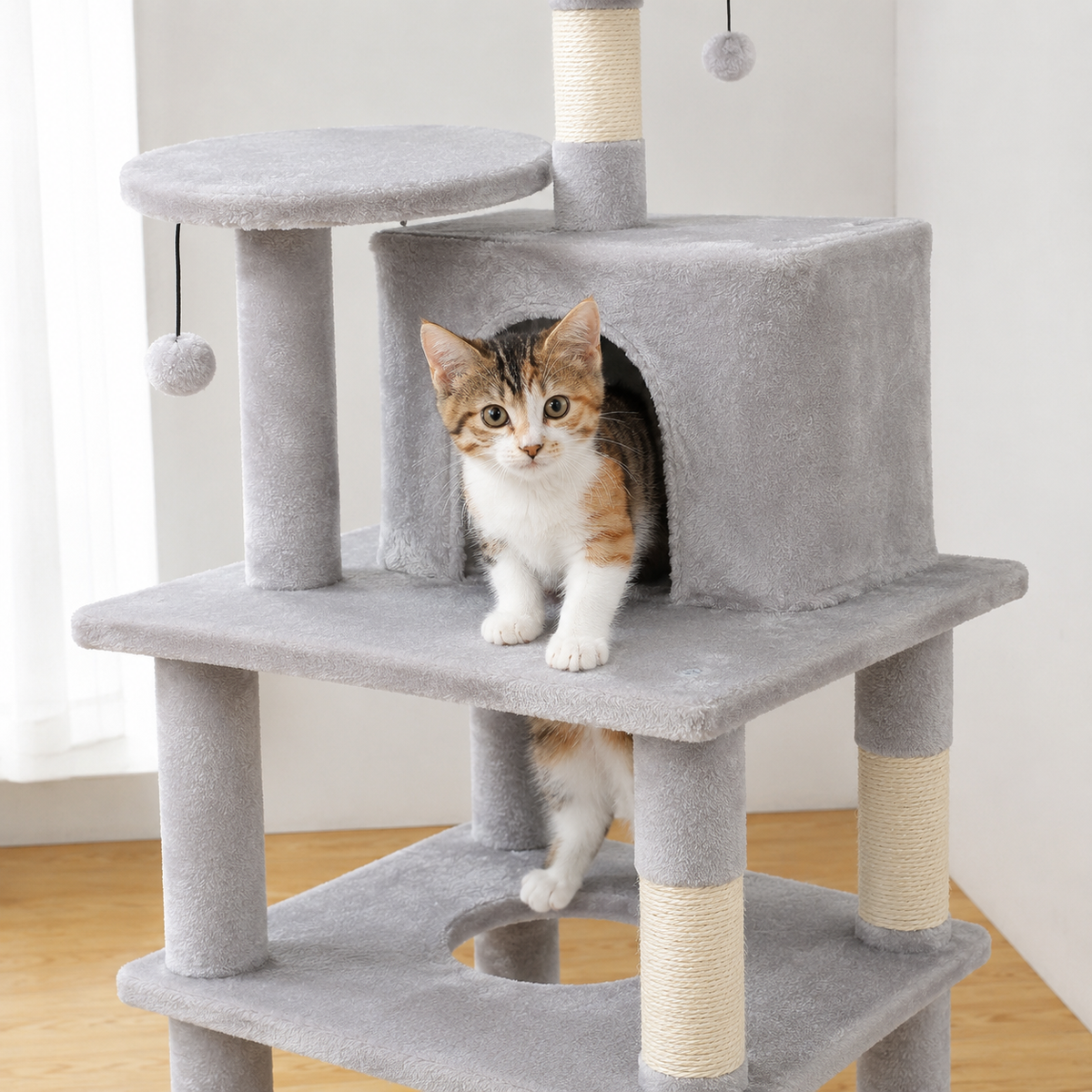 Arbre à chat Maine Coon robuste | Maine