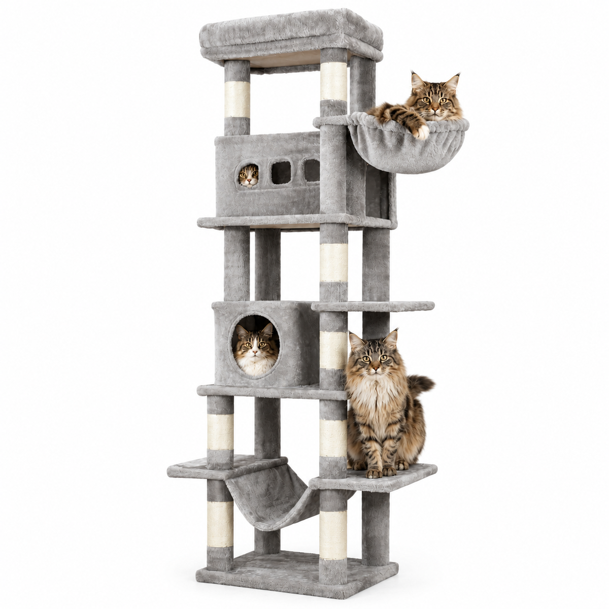 Arbre à chat XXL Maine Coon avec hamacs | Royal Plus